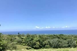 Sustainable Farm To Be Found Near The Town Of Cabrera