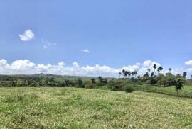 Sustainable Farm To Be Found Near The Town Of Cabrera