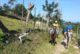 Sustainable Farm To Be Found Near The Town Of Cabrera