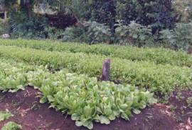 Sustainable Farm To Be Found Near The Town Of Cabrera