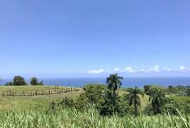 Sustainable Farm To Be Found Near The Town Of Cabrera