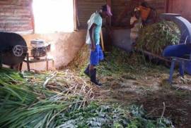 Sustainable Farm To Be Found Near The Town Of Cabrera