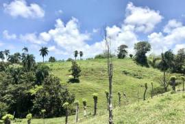 Sustainable Farm To Be Found Near The Town Of Cabrera