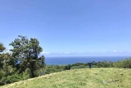 Sustainable Farm To Be Found Near The Town Of Cabrera