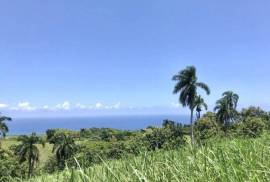 Sustainable Farm To Be Found Near The Town Of Cabrera