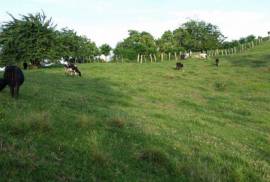 Sustainable Farm To Be Found Near The Town Of Cabrera