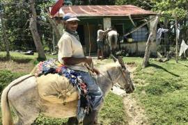 Sustainable Farm To Be Found Near The Town Of Cabrera