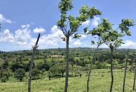 Sustainable Farm To Be Found Near The Town Of Cabrera