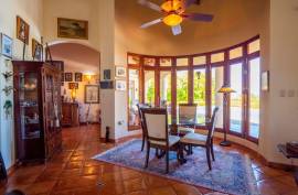 Start Living Your Dream