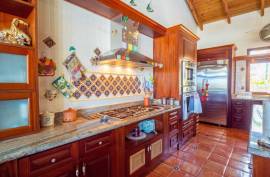 Start Living Your Dream