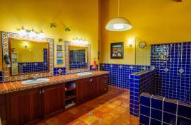 Start Living Your Dream