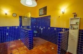 Start Living Your Dream