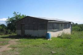 Dairy And Crop Farm For Sale In Puerto Plata