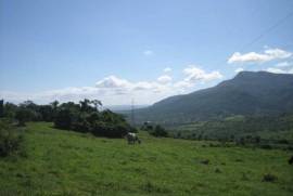 Dairy And Crop Farm For Sale In Puerto Plata