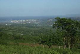 Dairy And Crop Farm For Sale In Puerto Plata