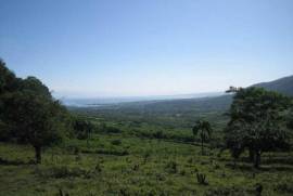 Dairy And Crop Farm For Sale In Puerto Plata