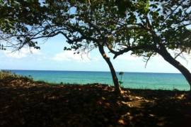 Cabarete Beachfront Lots