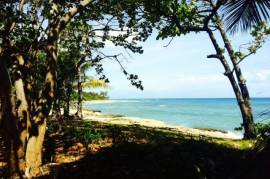 Cabarete Beachfront Lots