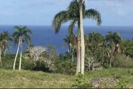 Unique Ocean View Lots Near The Town Cabrera