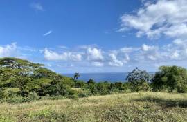 Unique Ocean View Lots Near The Town Cabrera