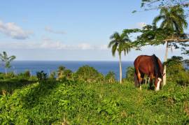 Unique Ocean View Lots Near The Town Cabrera