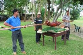 Amazing Caribbean Farmland Of 140 Acres