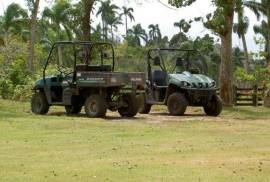 Amazing Caribbean Farmland Of 140 Acres