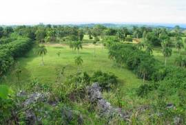 Amazing Caribbean Farmland Of 140 Acres