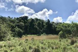 Amazing Caribbean Farmland Of 140 Acres