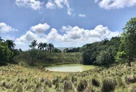 Amazing Caribbean Farmland Of 140 Acres