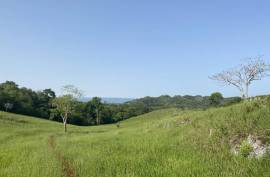 Ideal Cattle Farm For Sale In The Hills Of Cabarete