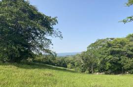 Ideal Cattle Farm For Sale In The Hills Of Cabarete