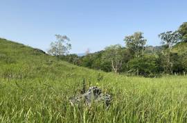 Ideal Cattle Farm For Sale In The Hills Of Cabarete