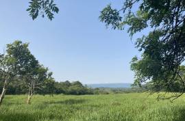 Ideal Cattle Farm For Sale In The Hills Of Cabarete