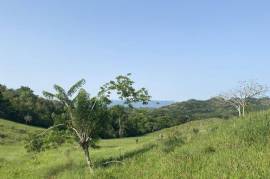 Ideal Cattle Farm For Sale In The Hills Of Cabarete