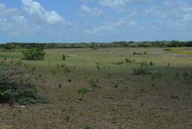 Beachfront Investment Land Luperon - La Isabella