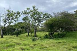 Investment Land In Cabarete