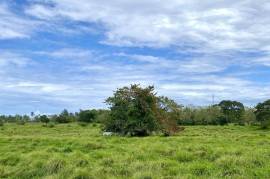 Investment Land In Cabarete