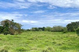 Investment Land In Cabarete