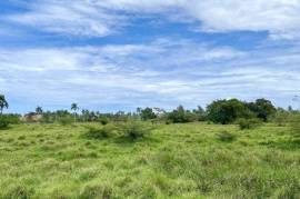 Investment Land In Cabarete