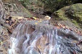 Building Lots On Ruta Turistica, Puerto Plata