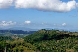 Extensive Section Of Land For Sale Close To Sosua