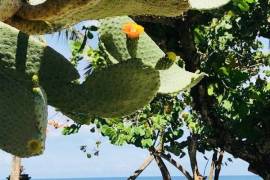 Cabarete Beachfront Penthouse - Ready To Move In!