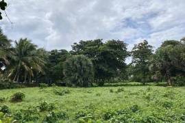 Iconic Waterfront Lots