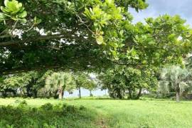 Iconic Waterfront Lots