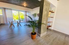 Cabarete Surf Beach Studio