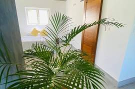 Cabarete Surf Beach Studio