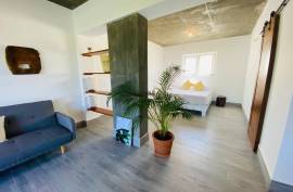 Cabarete Surf Beach Studio