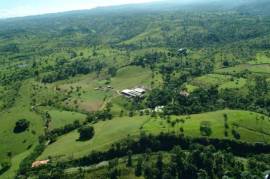 Farm In Jamao For Sale