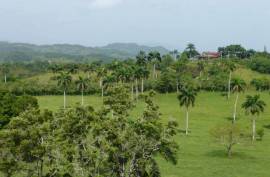 Farm In Jamao For Sale